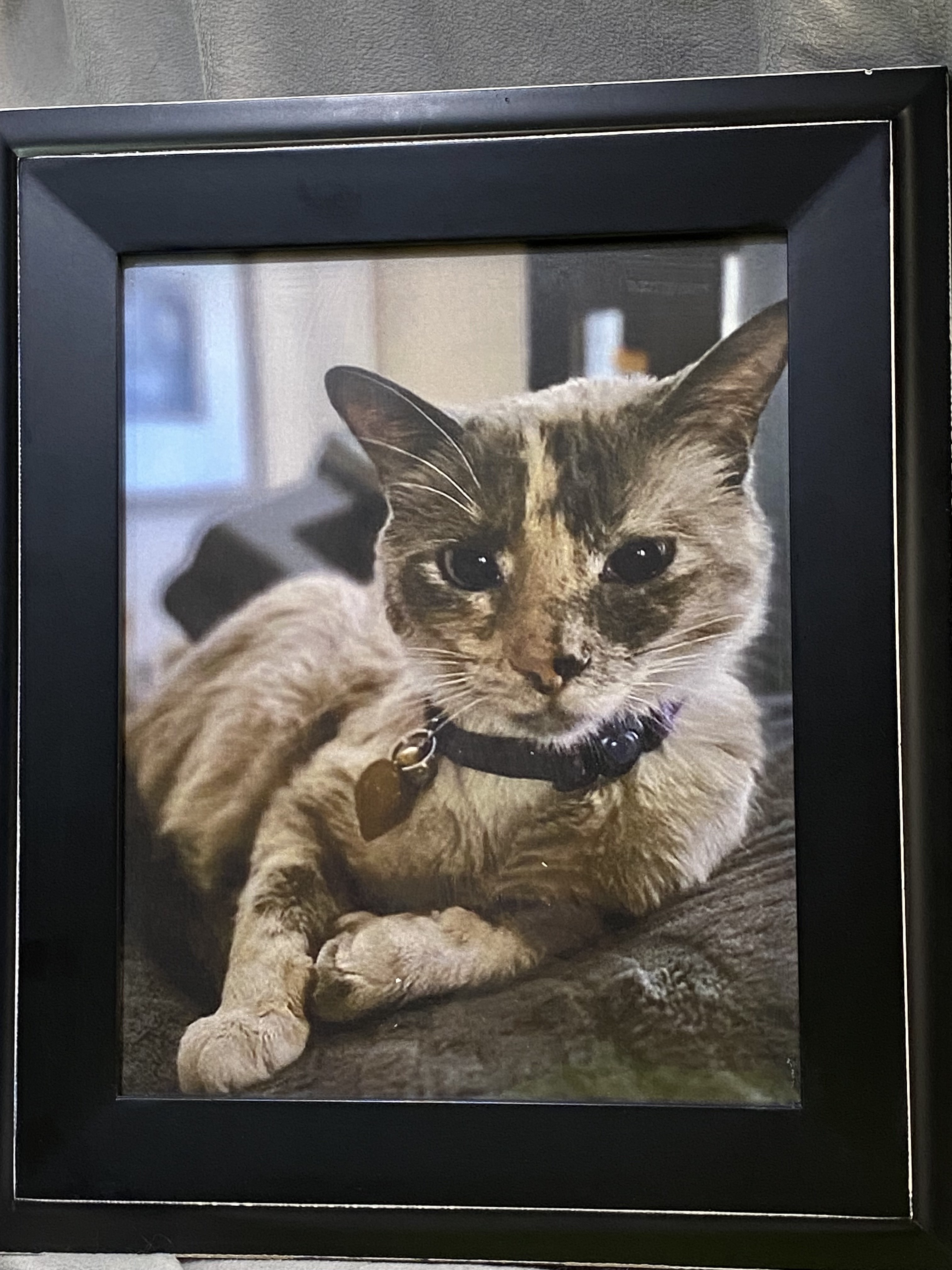 Image of Freyja Rivers